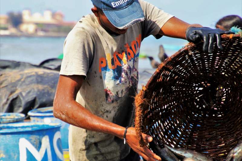 外籍漁工薪資調漲至550美元。 圖／翻攝自Pixabay圖庫