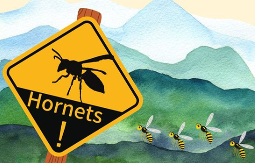Một nhóm du khách không may bị đàn ong bắp cày khổng lồ châu Á tấn công tại Đài Đông. (Ảnh: Lấy từ Facebook Taiwan FactCheck Center)