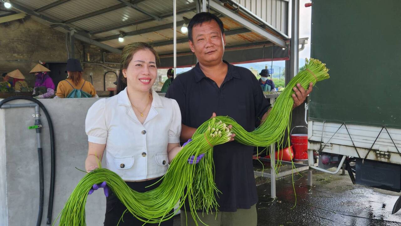 Tân di dân Việt Nam Lê Bá Hạnh cùng chồng gây dựng sự nghiệp từ trồng rau tràng. (Ảnh: Lấy từ Facebook Mykonos Chiang)