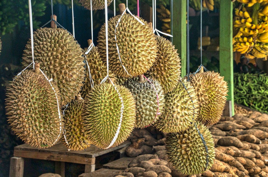Dalam beberapa tahun terakhir, ekspor durian Vietnam tumbuh signifikan, sehingga Kementerian Pertanian RI mendukung durian Indonesia untuk masuk ke pasar internasional.  (Sumber foto : Pixabay)