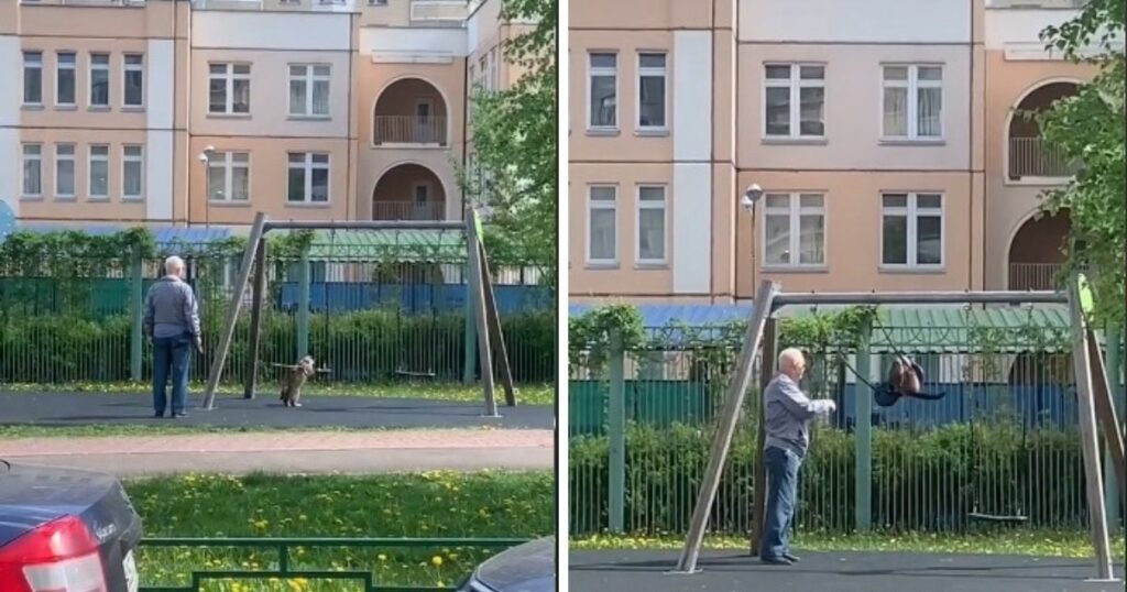 俄國貓奴爺爺帶愛貓盪鞦韆，溫馨畫面融化萬名網友。A Russian grandpa was spotted pushing his pet cat on the swings, winning internet users' hearts. (Photo courtesy of @said_xxl/TikTok)