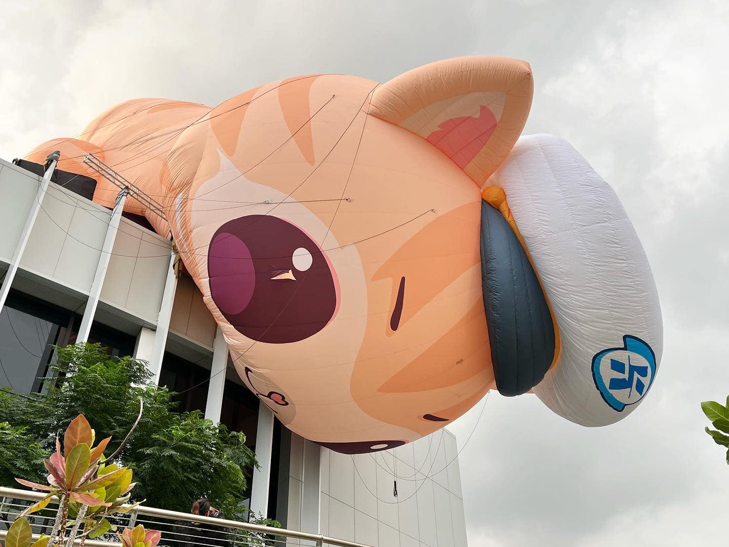 Over Kaohsiung City, Mikan, an adorable giant air-filled cat has deflated and crashed on a light rail station.  Photo reproduced from 高雄點 Facebook